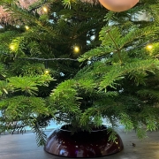 EasyFix kerstboomstandaard  Maxi 49cm metaal